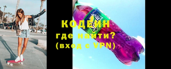 индика Корсаков