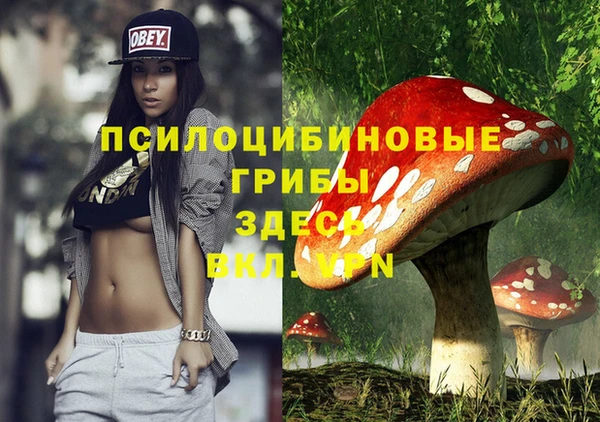 a pvp Киреевск